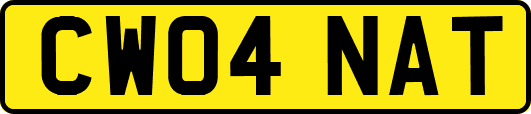 CW04NAT