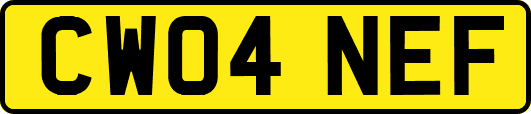 CW04NEF