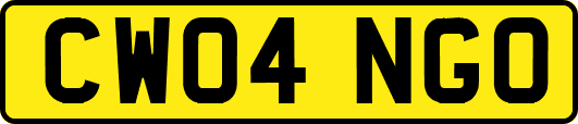 CW04NGO