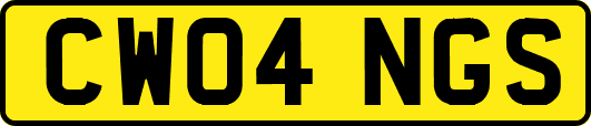 CW04NGS