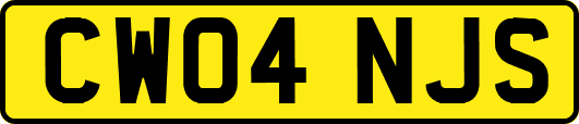 CW04NJS