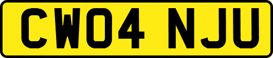 CW04NJU