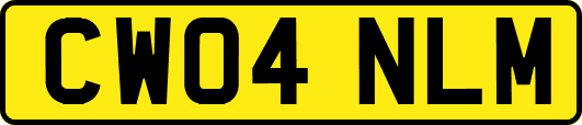 CW04NLM