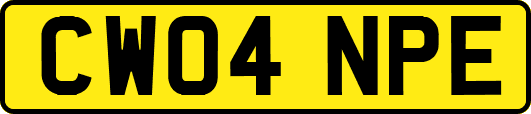 CW04NPE