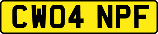 CW04NPF