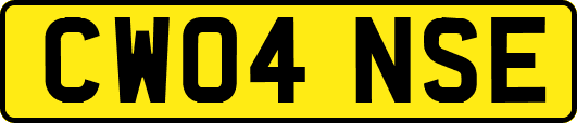 CW04NSE