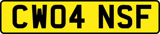 CW04NSF