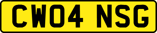 CW04NSG