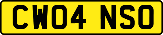 CW04NSO