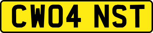 CW04NST