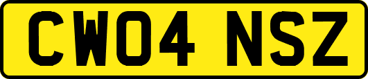 CW04NSZ