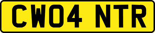 CW04NTR