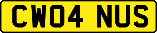 CW04NUS