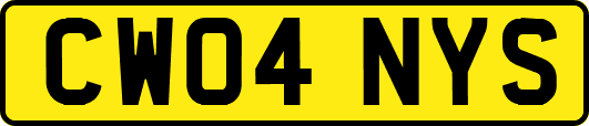 CW04NYS