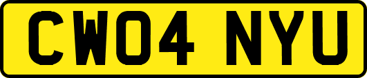 CW04NYU
