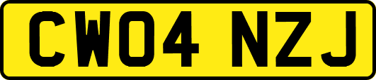 CW04NZJ