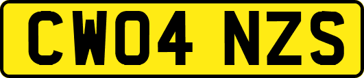 CW04NZS
