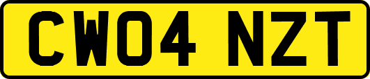 CW04NZT