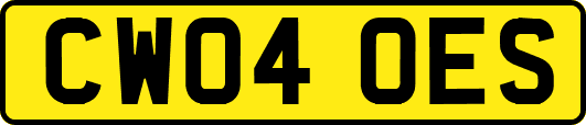 CW04OES