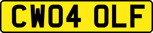 CW04OLF