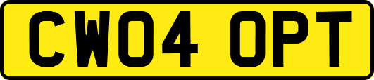 CW04OPT