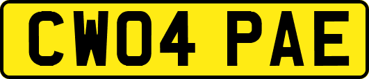 CW04PAE