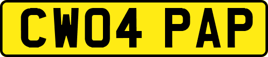 CW04PAP