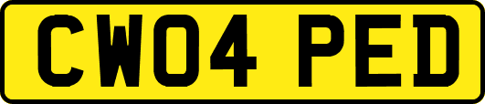 CW04PED