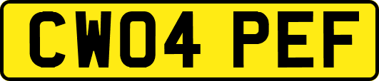 CW04PEF
