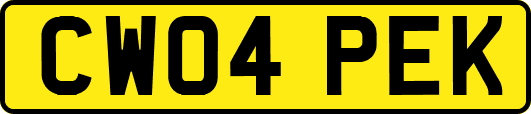 CW04PEK