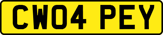 CW04PEY