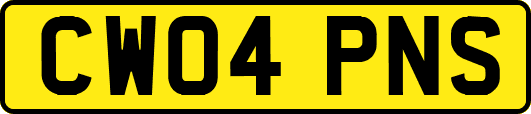 CW04PNS