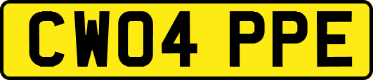 CW04PPE