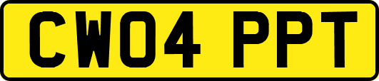 CW04PPT