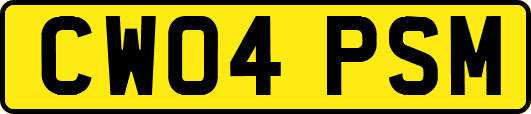 CW04PSM