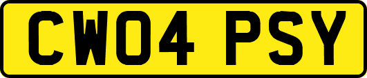CW04PSY