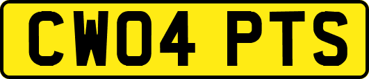 CW04PTS