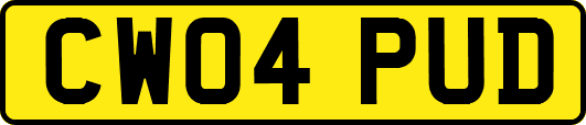 CW04PUD
