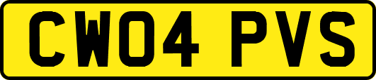 CW04PVS