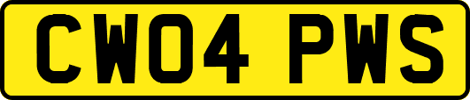 CW04PWS