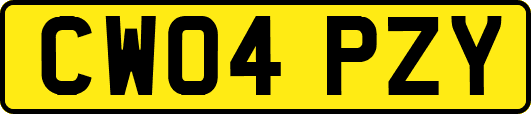 CW04PZY