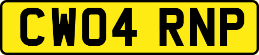CW04RNP