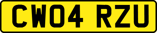 CW04RZU