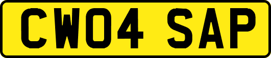 CW04SAP