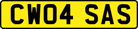 CW04SAS