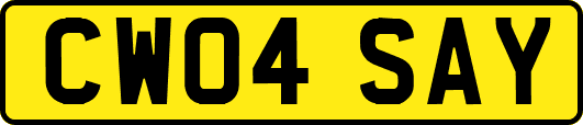 CW04SAY