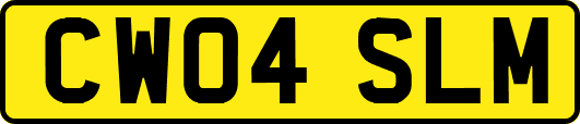 CW04SLM