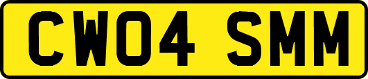 CW04SMM