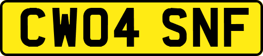 CW04SNF