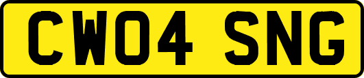 CW04SNG